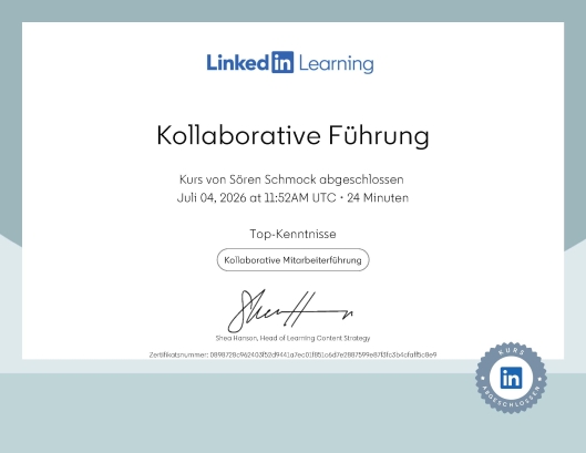 Kollaborative Führung